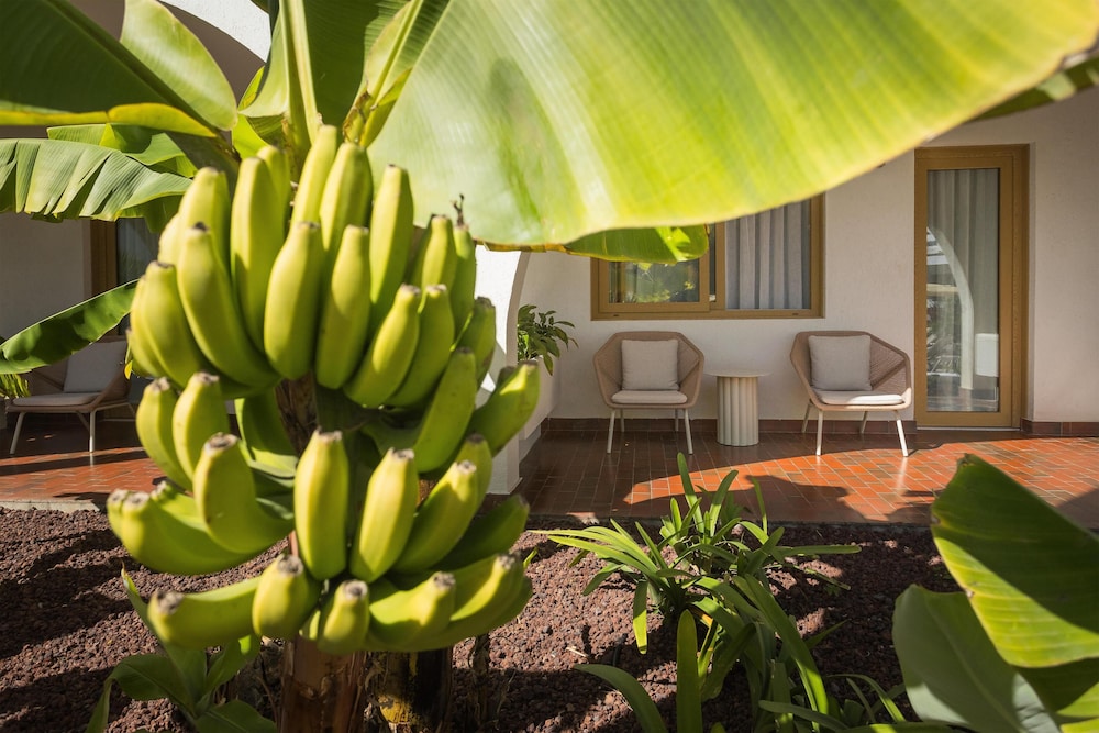 Radisson Resort & Residences Tenerife - Adults Only — Hotel building in Puerto de la Cruz, Canary Islands