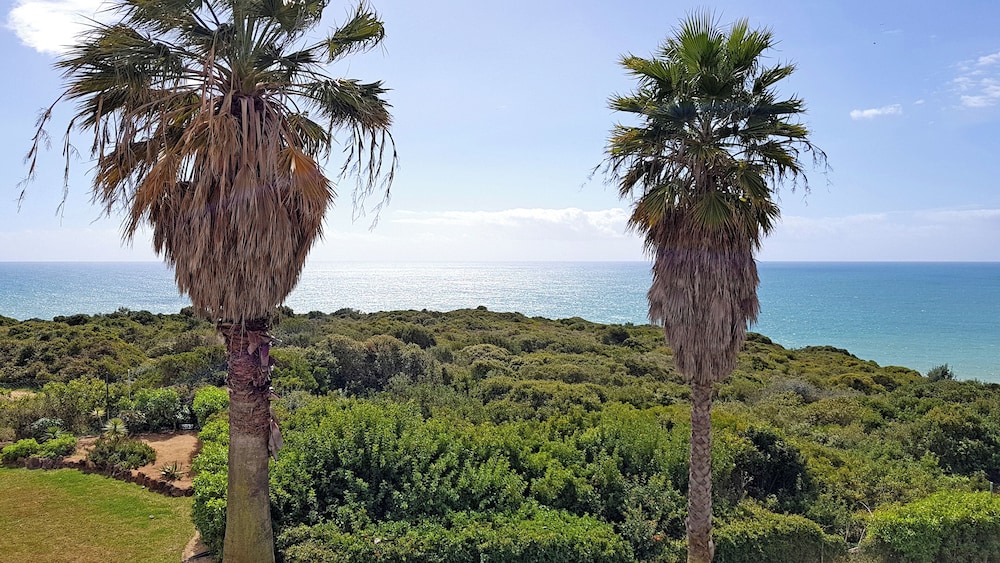 Pestana Palm Gardens — Attractions in the area in Carvoeiro, Faro