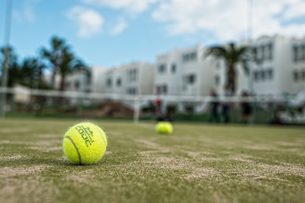 Sotavento Beach Club — Sports & recreation in Costa Calma, Canary Islands