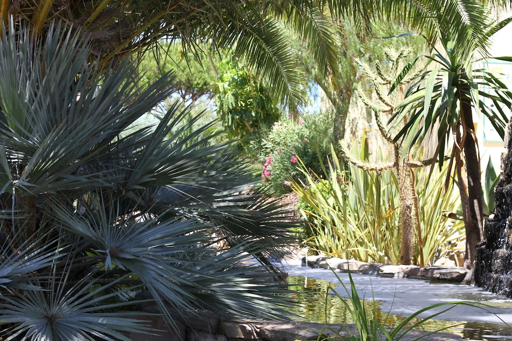 Hotel Pinhal do Sol — Attractions in the area in Quarteira, Faro