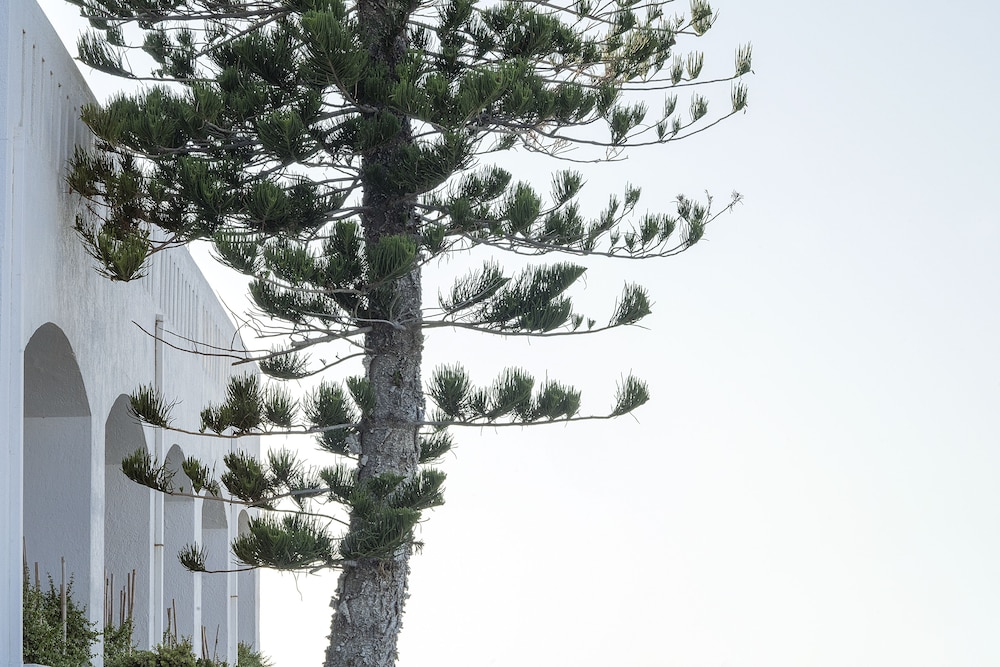 Maritimo Beach Hotel — Hotel building in Sissi
