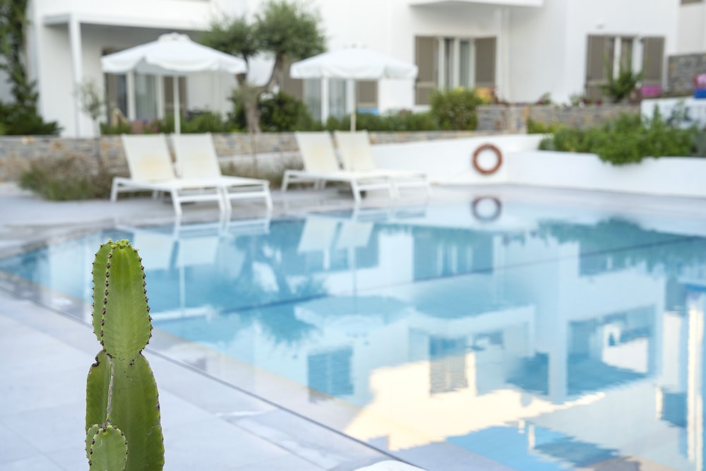 Maritimo Beach Hotel — Swimming pool in Sissi