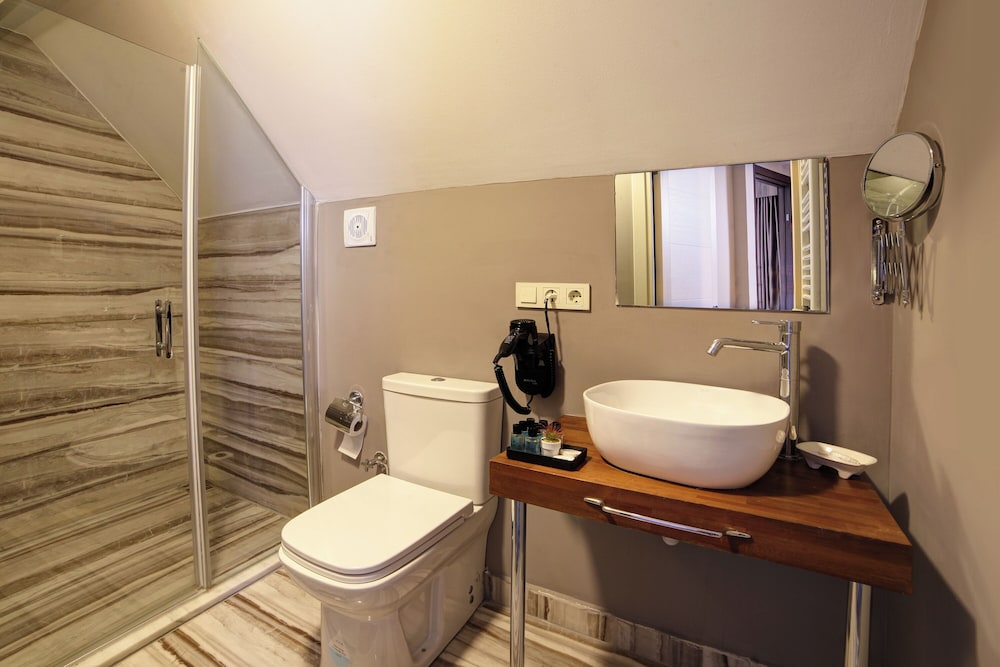 Almina Hotel - Special Class — Hotel rooms in Istanbul, Istanbul