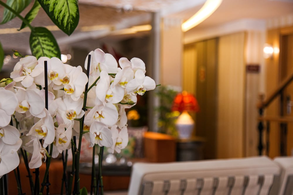 Almina Hotel - Special Class — Hotel building in Istanbul, Istanbul