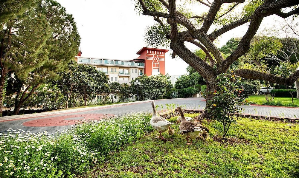 Belconti Resort Hotel - All Inclusive — Shared spaces in Belek