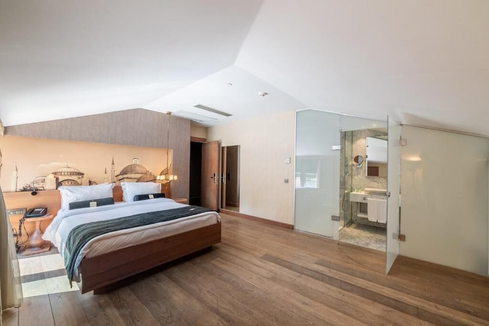 Hotel Saint Sophia — Hotel rooms in Istanbul, Istanbul