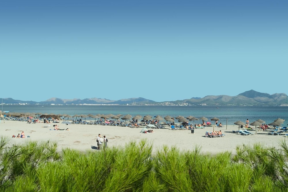 Hotel Vista Park — Beach in Can Picafort, Balearic Islands