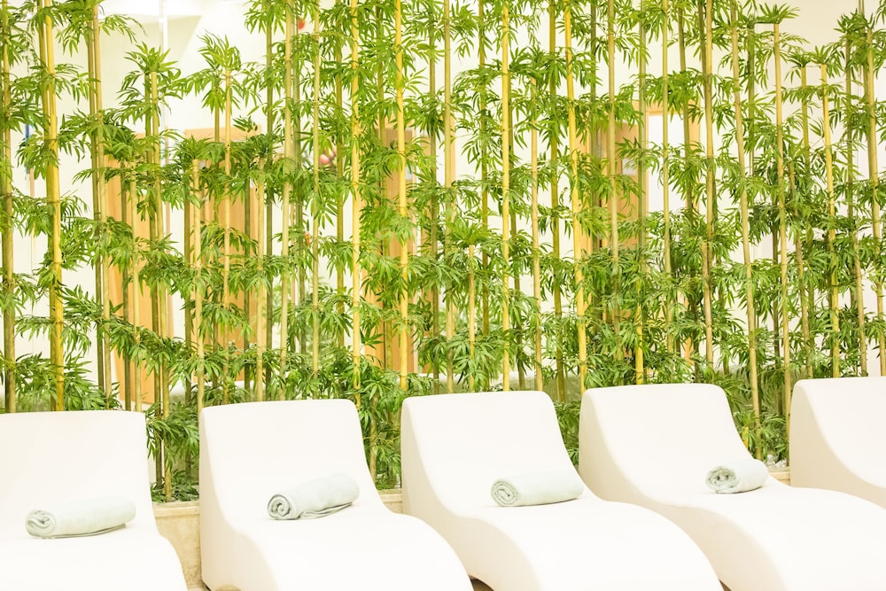 Falcon Hotel — Facilities in Antalya