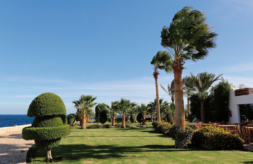 Sharm Club Beach Resort — Hotel building in Sharm El Sheikh, Red Sea