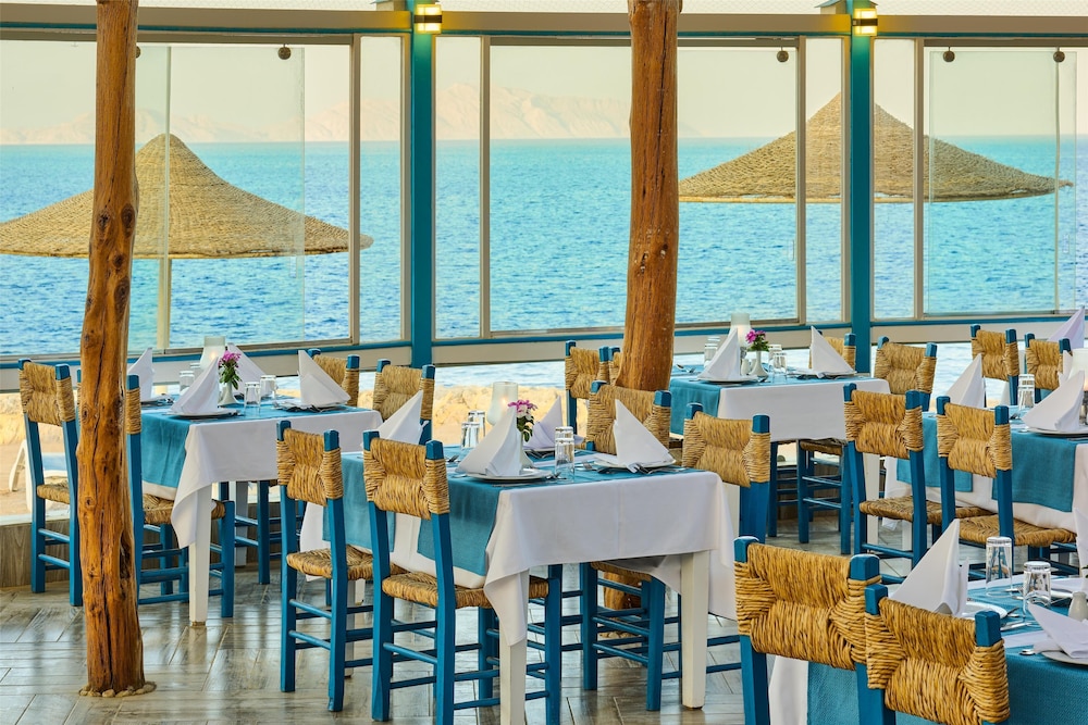 Dreams Beach Sharm el Sheikh — Restaurant & bars in Sharm El Sheikh, Red Sea