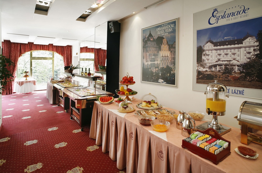 Ambassador Zlatá husa — Restaurant & bars in Prague, Prague