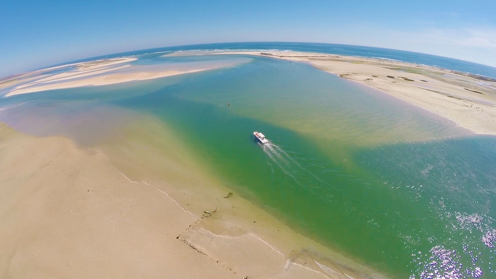 Real Marina Hotel & Spa — Attractions in the area in Olhão, Faro