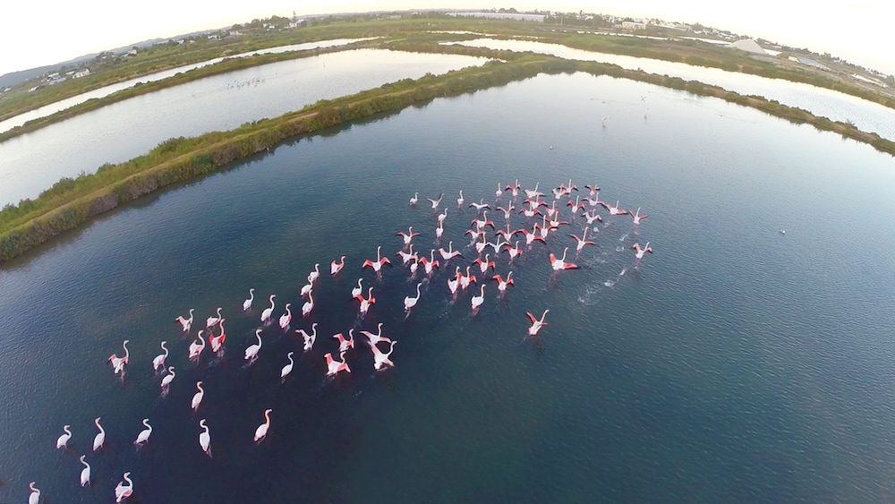 Real Marina Hotel & Spa — Attractions in the area in Olhão, Faro