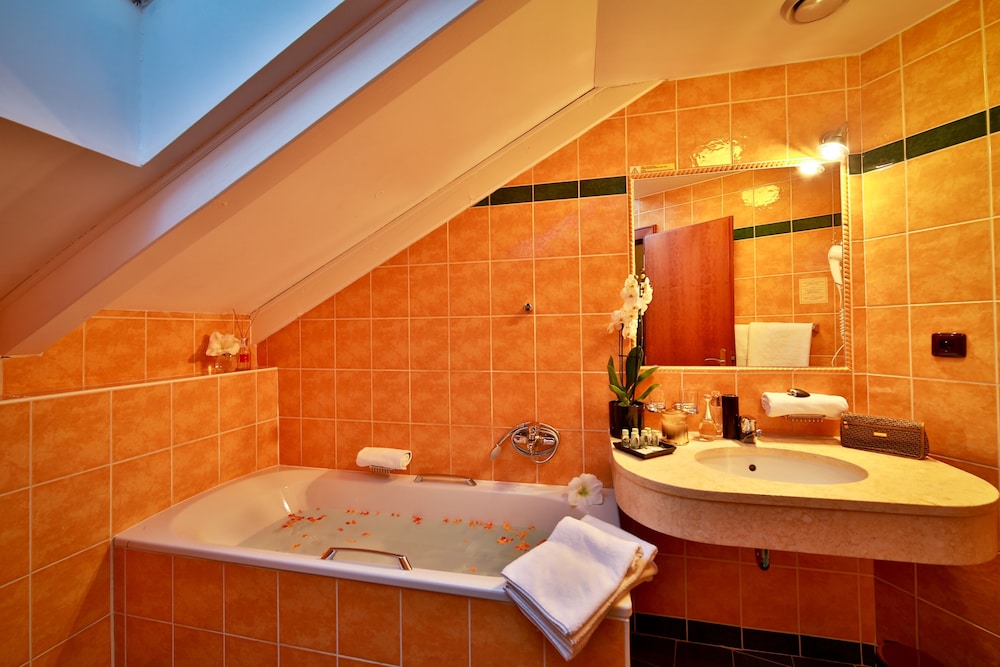 Hotel Carlton — Hotel rooms in Prague, Prague