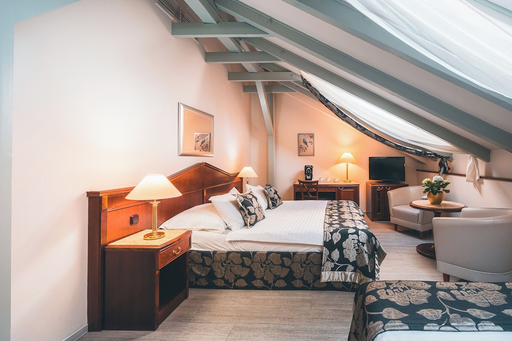 Hotel Carlton — Hotel rooms in Prague, Prague