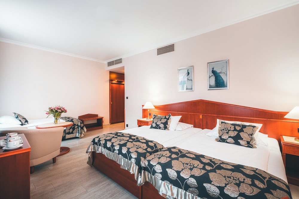 Hotel Carlton — Hotel rooms in Prague, Prague