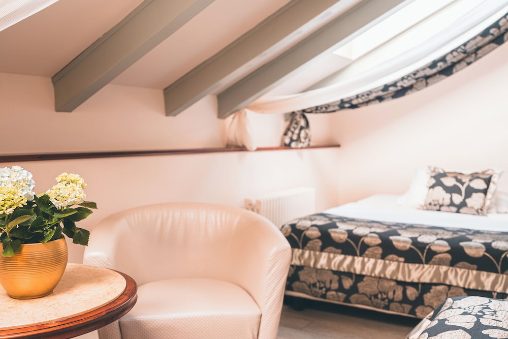 Hotel Carlton — Hotel rooms in Prague, Prague
