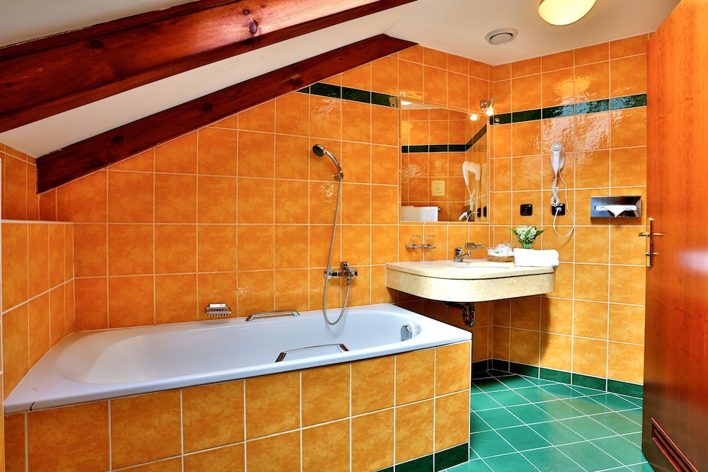 Hotel Carlton — Hotel rooms in Prague, Prague