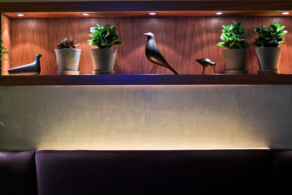 Botanique Hotel Prague — Restaurant & bars in Prague, Prague