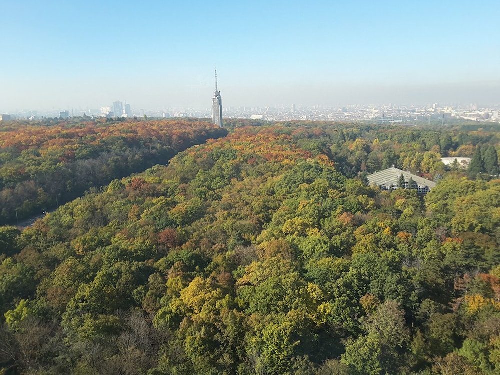 Park - Hotel Moskva — Attractions in the area in Sofia, Sofia (province)