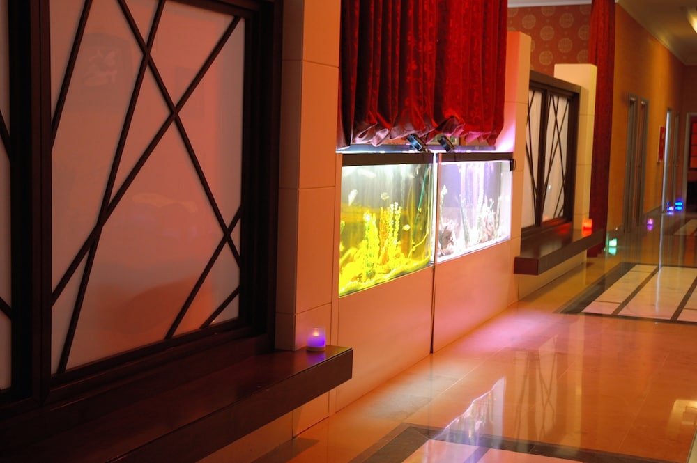 Meder Resort Hotel — Restaurant & bars in Kemer