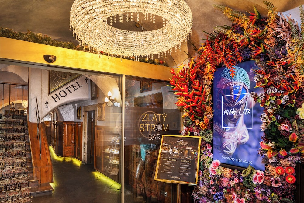 Hotel U Zlatého Stromu Prague by BHG — Restaurant & bars in Prague, Prague