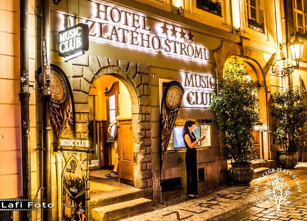 Hotel U Zlatého Stromu Prague by BHG - zdjęcie 2