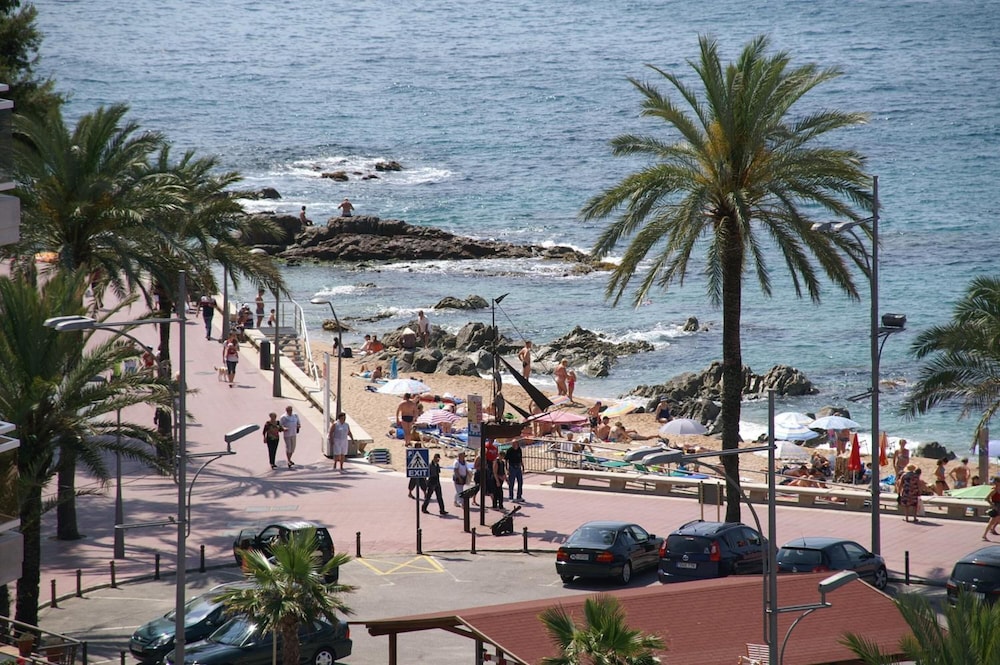 ALEGRIA Mariner - Adults Only - zdjęcie 5