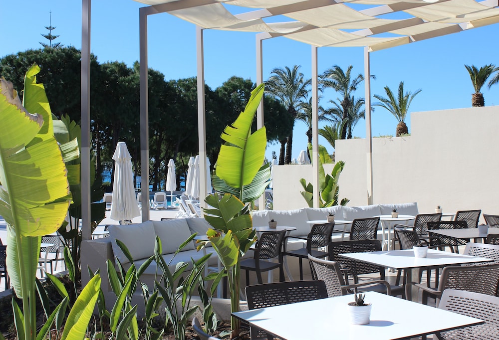 Paloma Perissia - All Inclusive — Restaurant & bars in Side