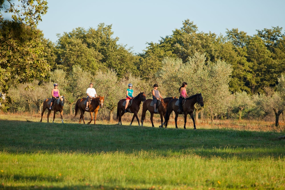 Hotel Delfin Plava Laguna — Sports & recreation in Poreč, Istria