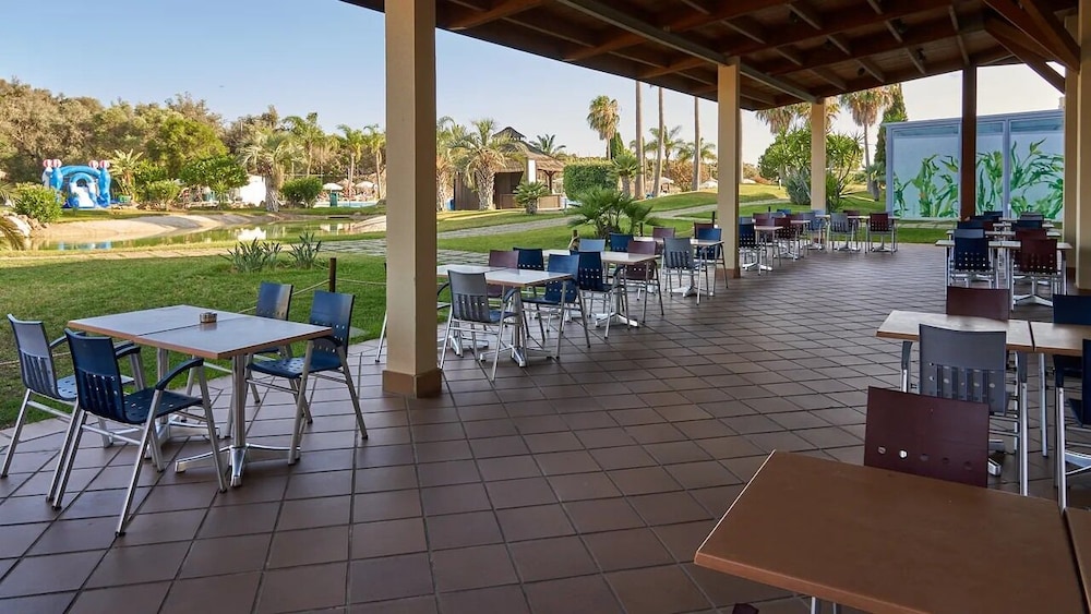 The Navigator - Palm Oasis Alvor — Restaurant & bars in Alvor, Faro