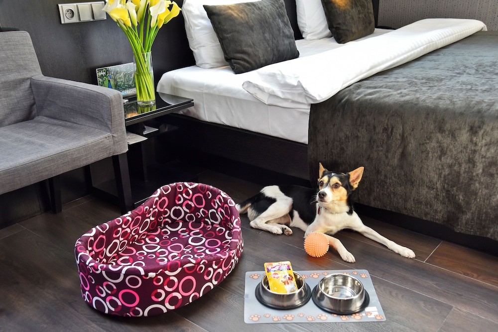 Hotel Ametyst — Hotel rooms in Prague, Prague