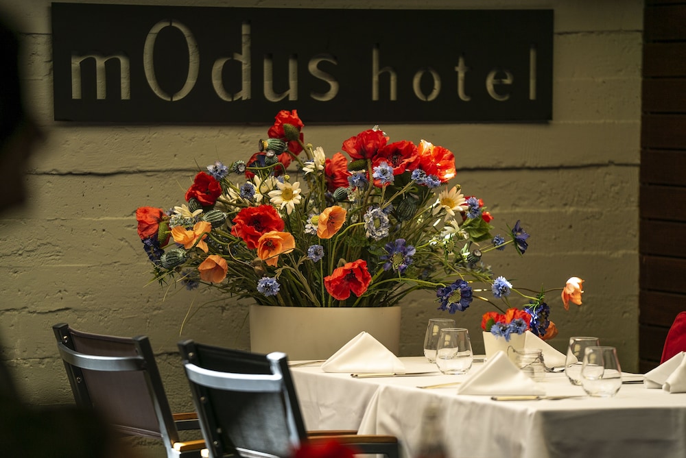 Hotel mOdus — Restaurant & bars in Varna, Varna Region
