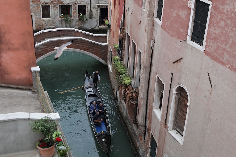 Ruzzini Palace Hotel — Attractions in the area in Venice, Veneto