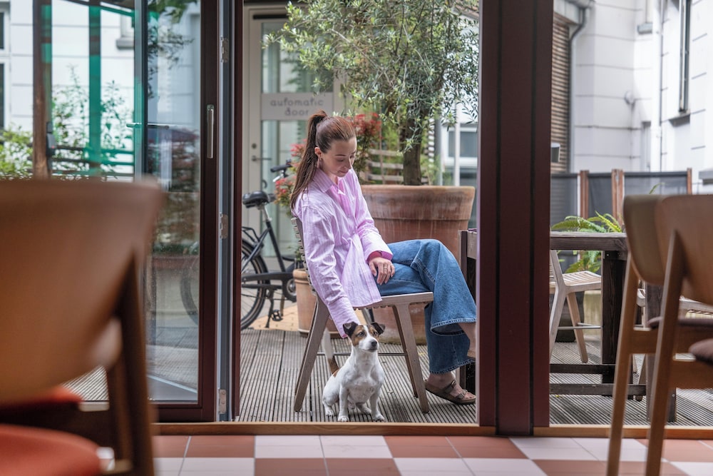 Hotel Mayfair — Restaurant & bars in Copenhagen, Hovedstaden