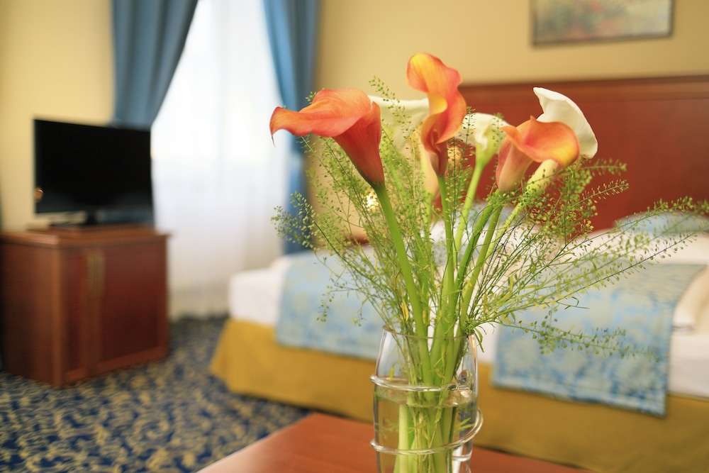 Hotel Bellevue Vienna - zdjęcie 5