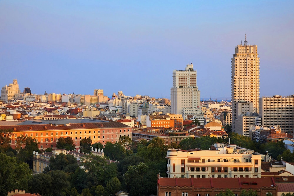 Madrid Marriott Hotel Princesa Plaza - zdjęcie 3