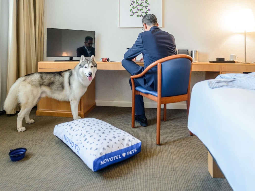 Novotel Torino Corso Giulio Cesare - zdjęcie 5