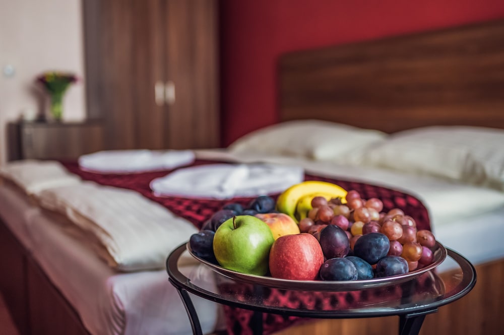 Hotel Czechia — Hotel rooms in Prague, Prague