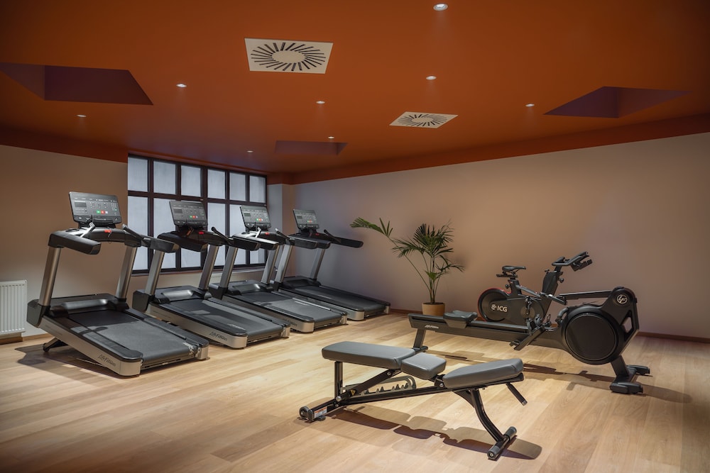Almanac X Alcron Prague — Sports & recreation in Prague, Prague