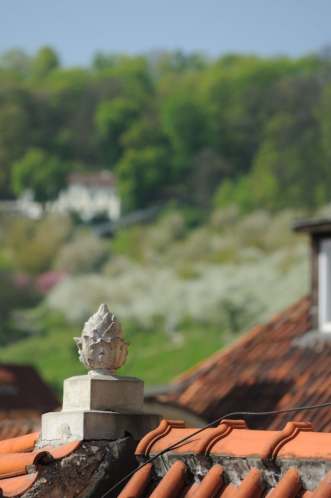 The Charles — Attractions in the area in Prague, Prague