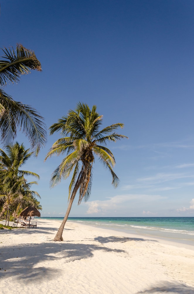 Encantada Tulum — Beach in Tulum, Quintana Roo