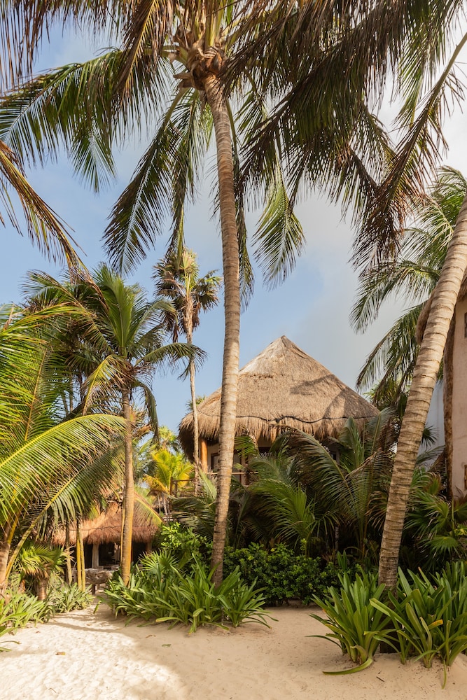 Encantada Tulum — Hotel building in Tulum, Quintana Roo