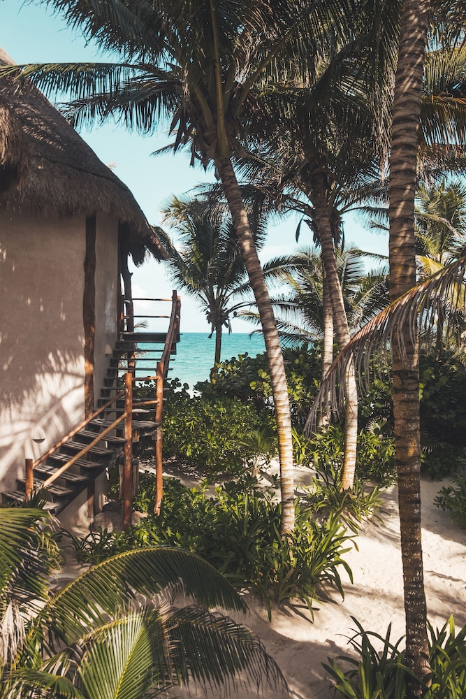 Encantada Tulum — Beach in Tulum, Quintana Roo