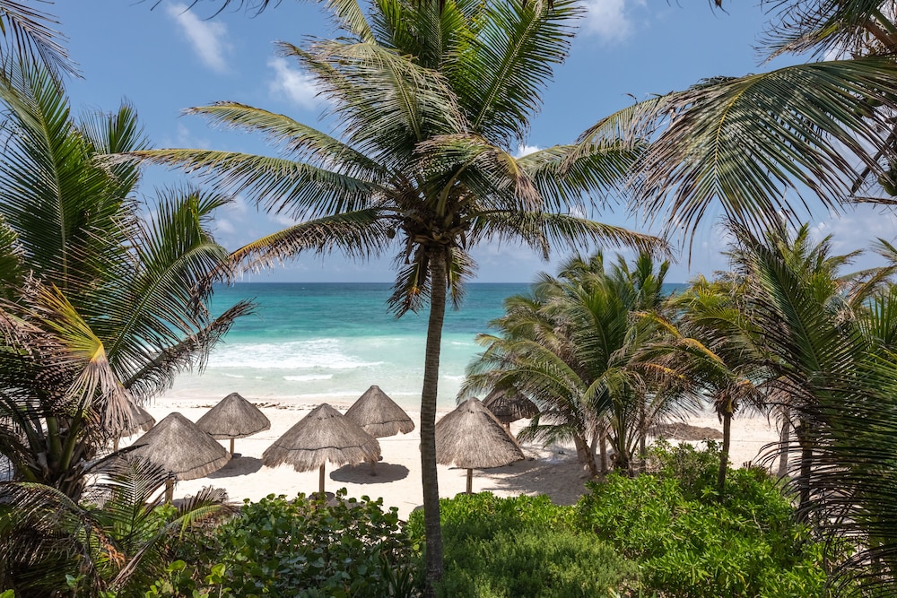 Encantada Tulum — Beach in Tulum, Quintana Roo