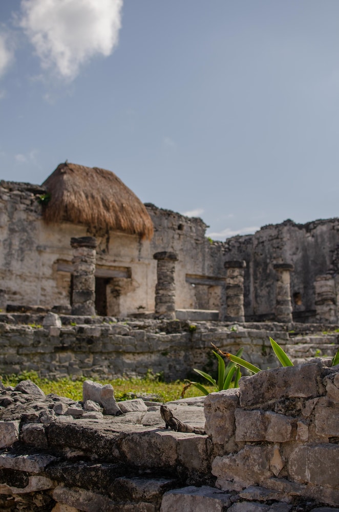 Encantada Tulum — Attractions in the area in Tulum, Quintana Roo