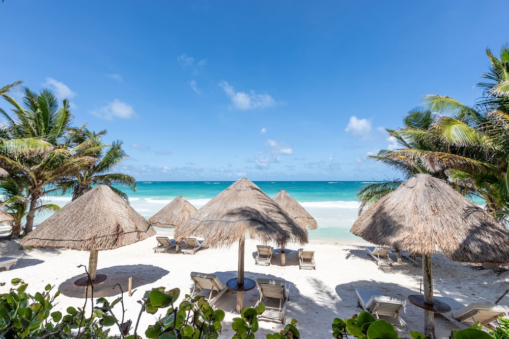 Encantada Tulum — Beach in Tulum, Quintana Roo