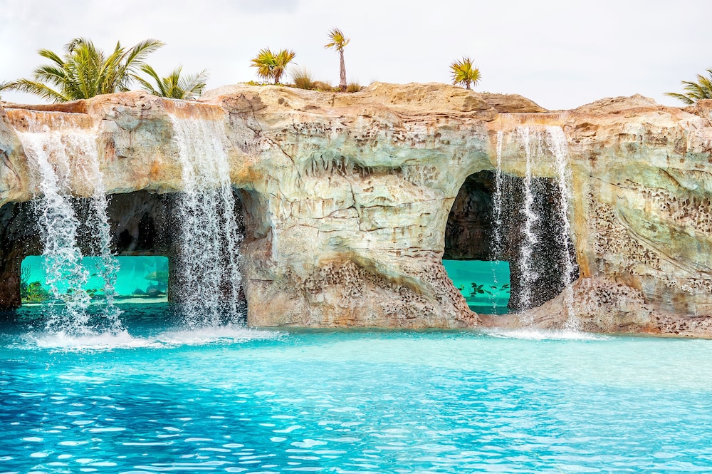 Grand Hyatt Baha Mar — Swimming pool in Nassau, New Providence