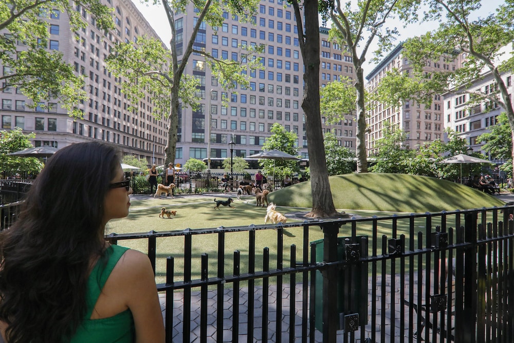 The Evelyn Hotel — Attractions in the area in New York City, New York State