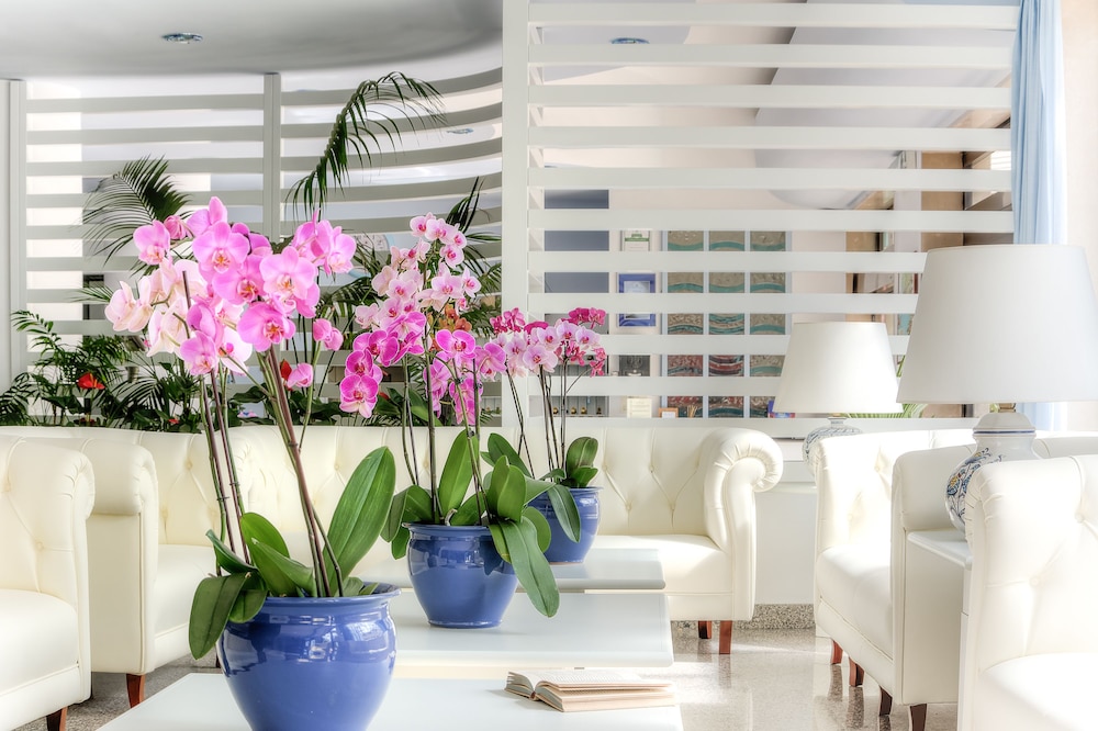 Hotel Caravel — Hotel building in Sant'Angello, Campania